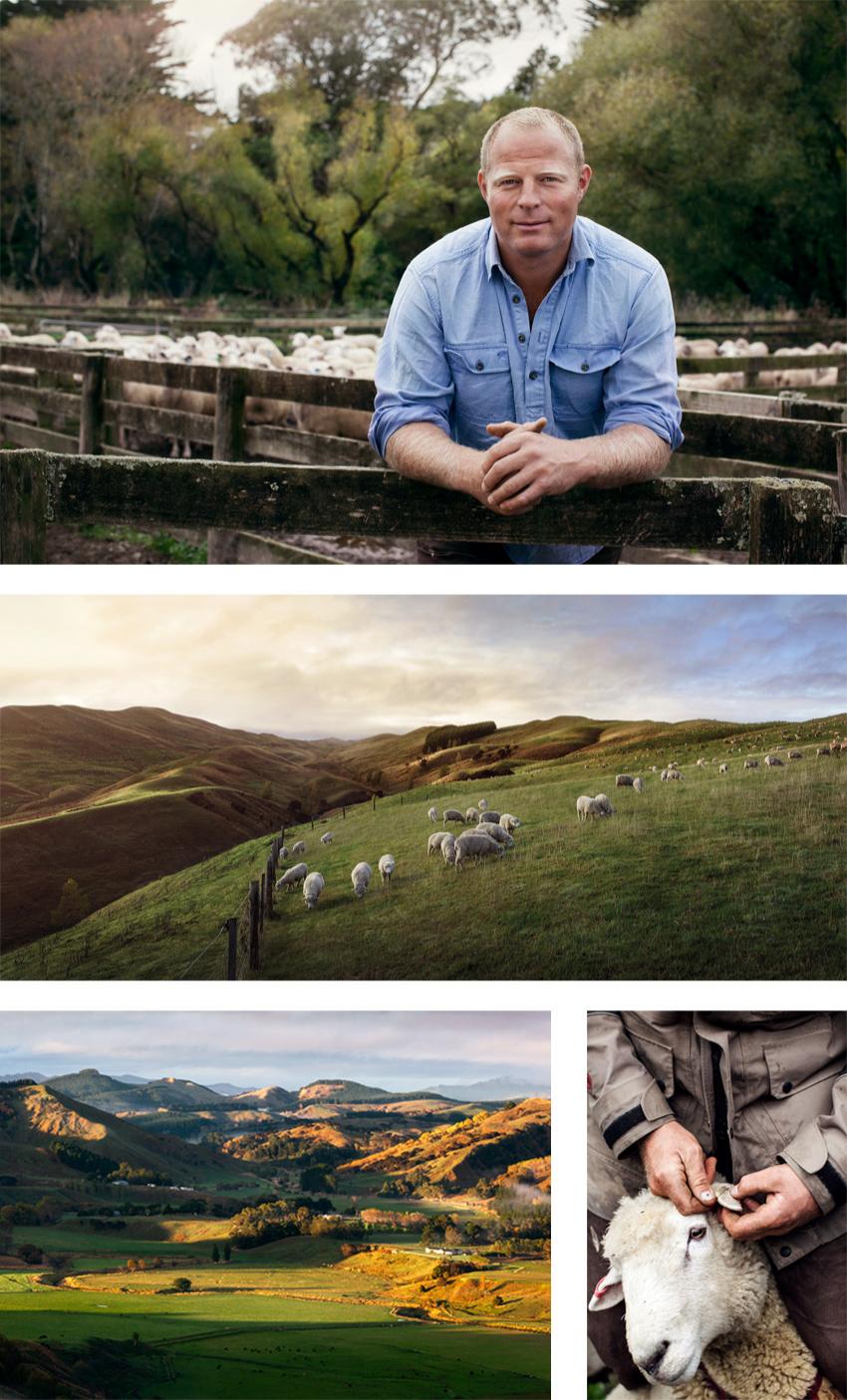 Grassendale Genetics Branding Photography